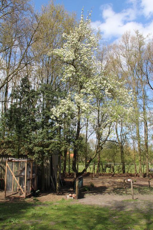 B&B In De Backerije Zuidwolde  Zewnętrze zdjęcie